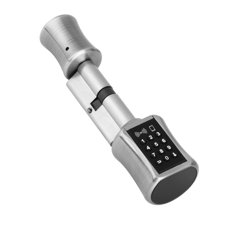 Airbnb Smart Home - Bluetooth-цилиндровый замок TT Lock с паролем,